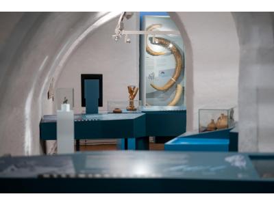 Langer Abend im Museum – Einblicke in die Museumsarbeit
