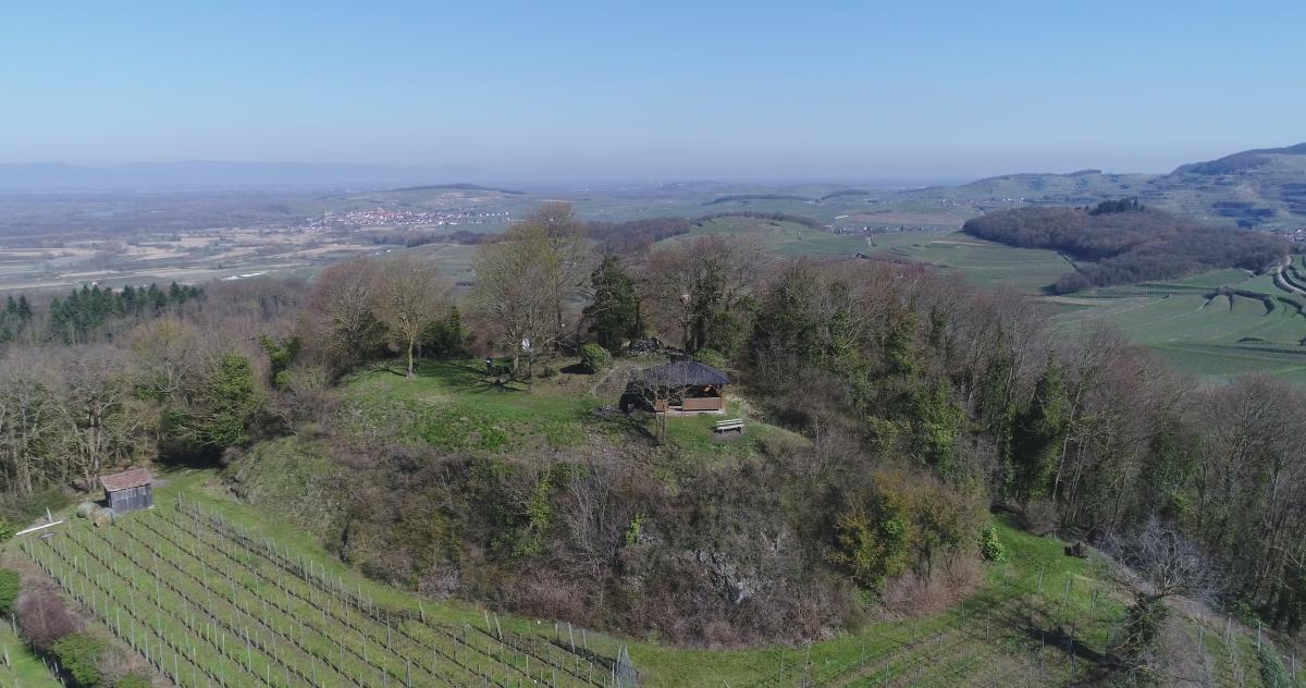 „Burg Höhingen im Kaiserstuhl – Funde, Schriftquellen und ein Museumsprojekt“