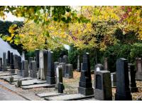 Führung zum Jüdischen Friedhof
