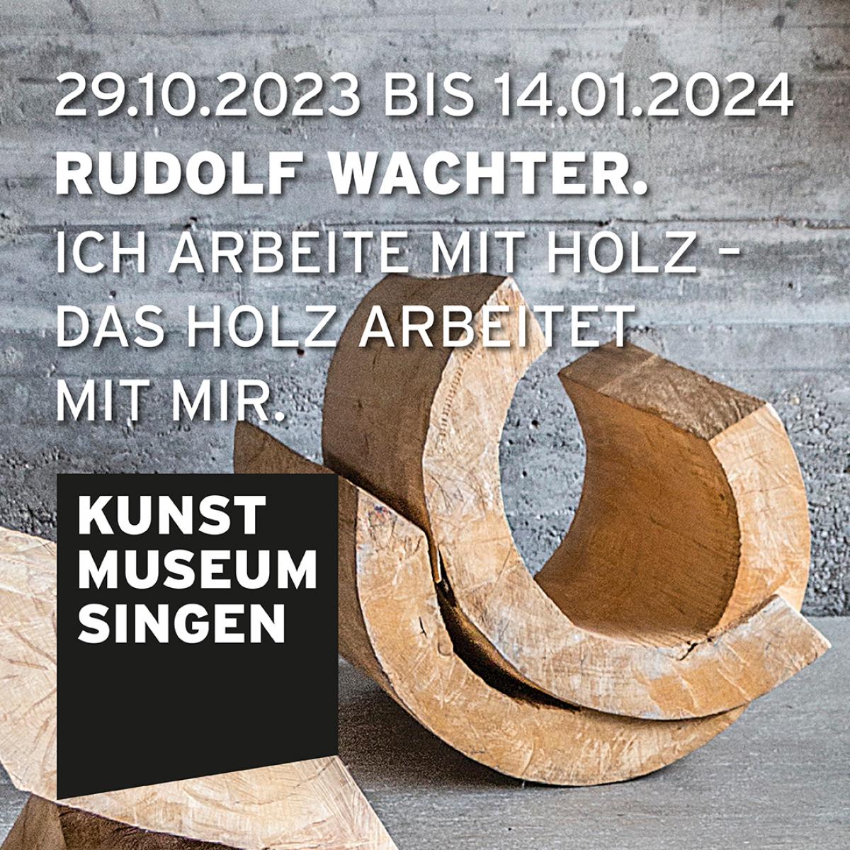 Rudolf Wachter. Ich arbeite mit Holz - Das Holz arbeitet mit mir.