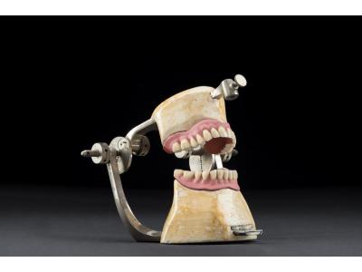 Dental | Things. Die zahnmedizinische Sammlung