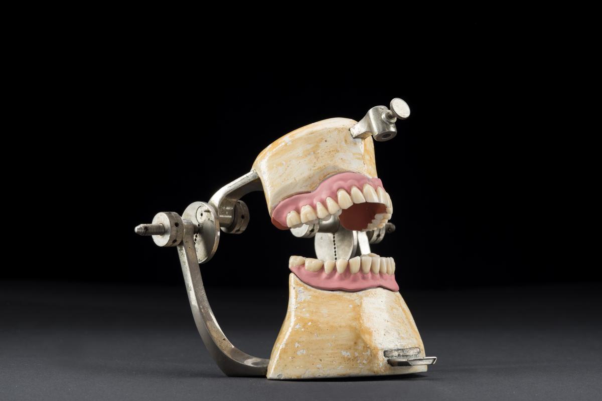 Dental | Things. Die zahnmedizinische Sammlung